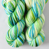 Orinoco - Miss Babs Yummy 2-Ply Toes superwash Merino wool yarn