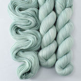 Palm Valley - Miss Babs Yummy 2-Ply superwash Merino wool yarn