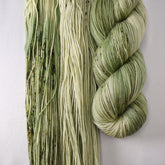 Peace Lily - Miss Babs Yowza yarn
