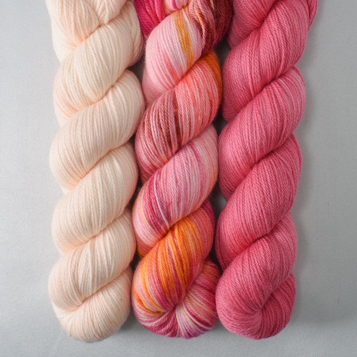 Peach Parfait, Little Princess, and Lotus - Miss Babs Caroline Trio