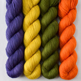 Pleiades, Cumin, Terrapin Station, and French Marigold - Miss Babs Yummy 2-Ply Quartet