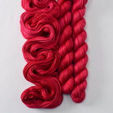 Poinsettia - Miss Babs Sojourn yarn