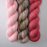 Puna Flamingo, Muddled Thoughts, and Bearberry - Yummy 2-Ply Trio - Babette
