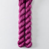 Purple Passion - Miss Babs Sojourn yarn