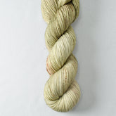 Rehoboth - Miss Babs Laurel Falls yarn