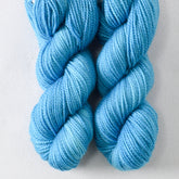 Reverberation - Miss Babs Yummy 2-Ply Toes superwash Merino wool yarn