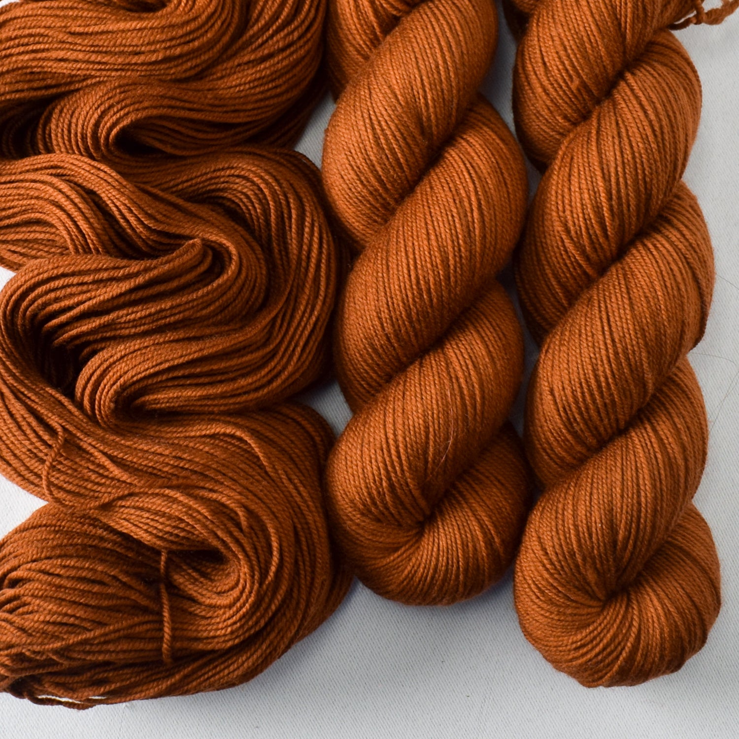 Roasted Pumpkin - Miss Babs Laurel Falls Shaniko Merino wool yarn