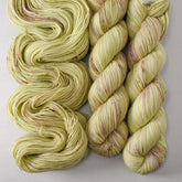 Round and Round - Miss Babs Avon yarn