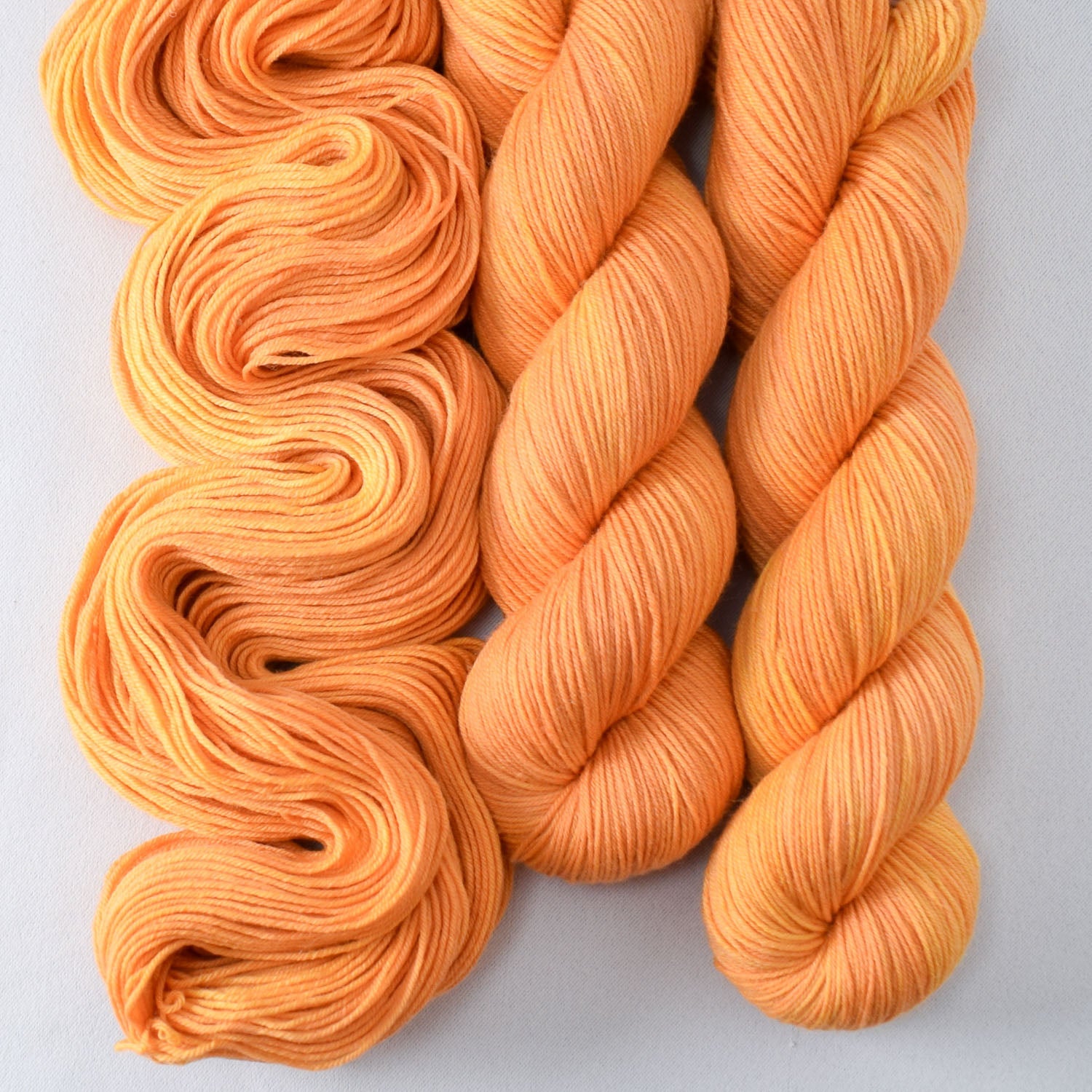 Saffron - Miss Babs Putnam Merino wool and nylon sock yarn