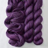 Sagrada - Miss Babs Yet yarn