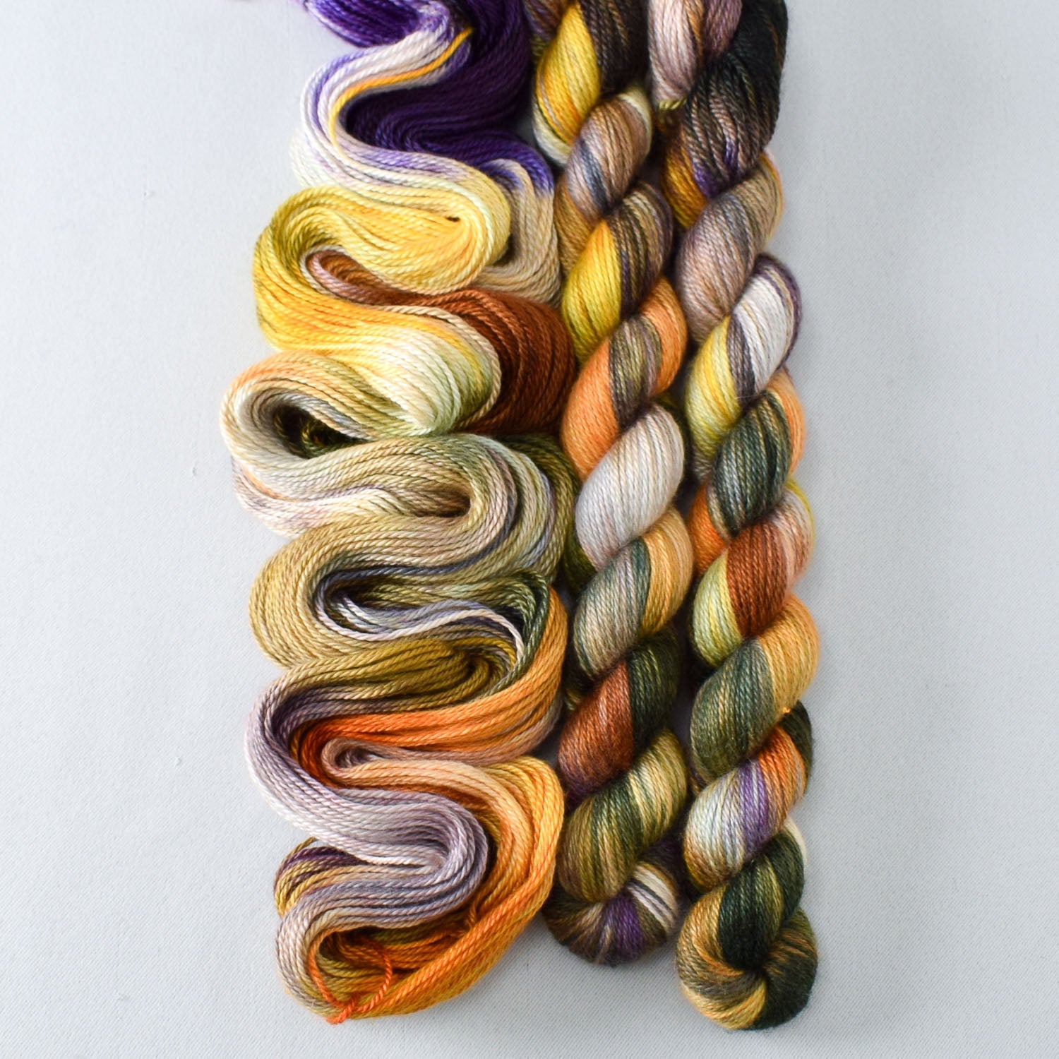 Salem's Lot - Miss Babs Sojourn yarn