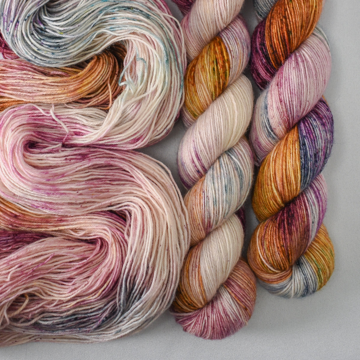 Sawtooth Star - Katahdin 437 - Babette