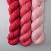 Scarlet Pimpernel, Lotus, and Puna Flamingo - Yummy 2-Ply Trio - Babette
