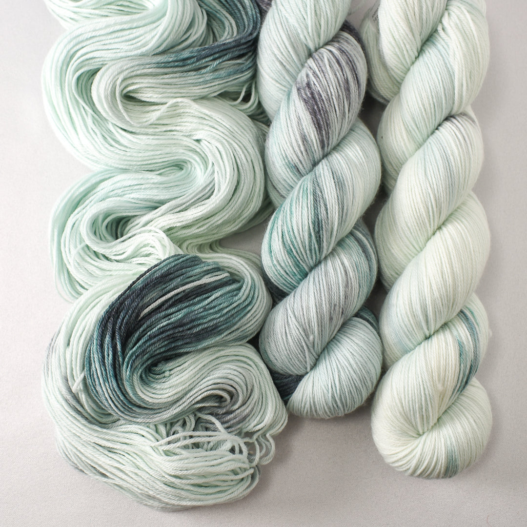 Sea Life - Miss Babs Tarte yarn