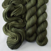 Sempervirens - Miss Babs Katahdin 437 superwash BFL wool yarn