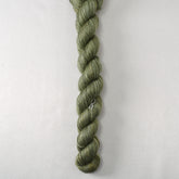 Sempervirens - Miss Babs Sojourn yarn