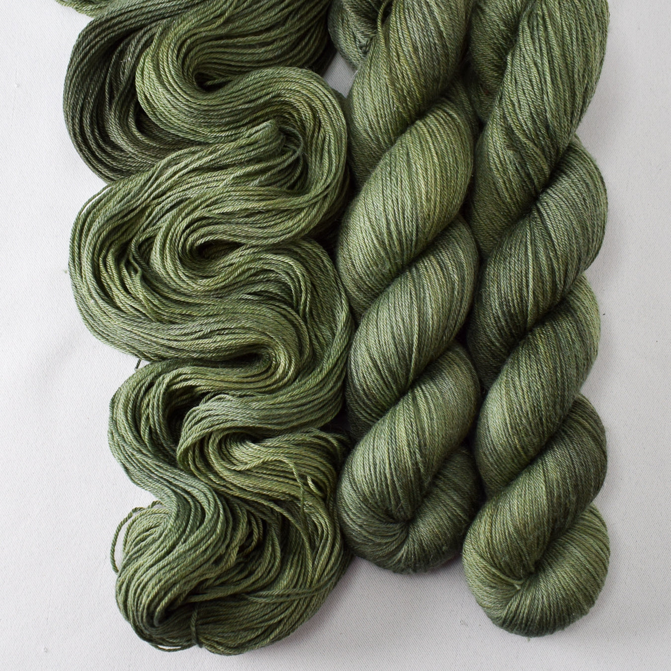 Sempervirens - Miss Babs Tarte yarn