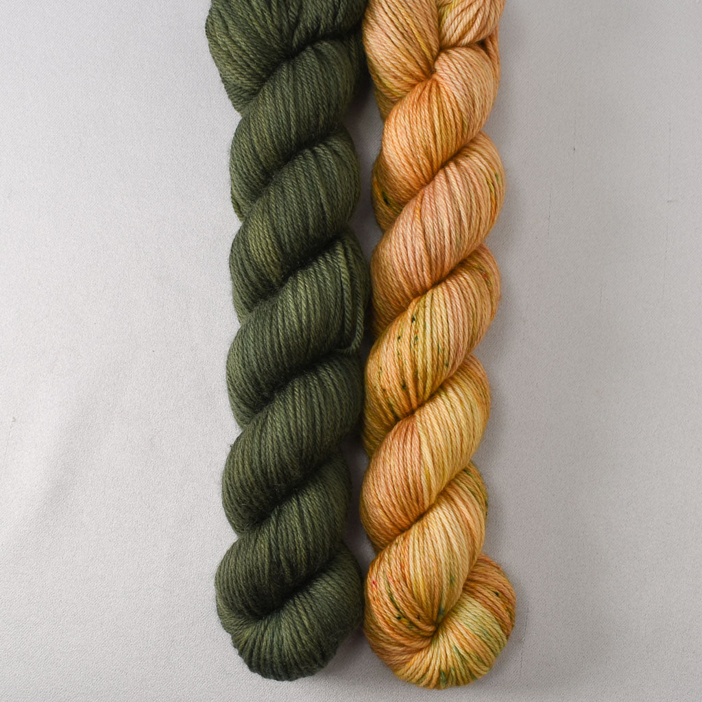 Sempervirens and Tuscan Sun - Miss Babs Yowza Mini Duo