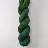 Shane - Miss Babs Putnam yarn