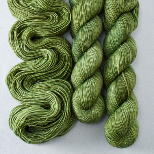 Snail - Miss Babs Yummy 2-Ply superwash Merino wool yarn