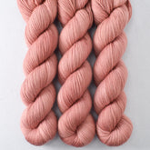 Socorro - Miss Babs Yummy 2-Ply superwash Merino wool yarn