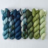 Special Edition 1252 - Miss Babs Yummy 2-Ply Fade Set