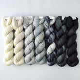 Special Edition 1264 - Miss Babs Yummy 2-Ply Fade Set