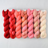 Special Edition 1315 - Miss Babs Yummy 2-Ply Fade Set