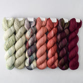 Special Edition 1336 - Miss Babs Yummy 2-Ply Fade Set