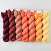 Special Edition 1350 - Miss Babs Yummy 2-Ply Fade Set