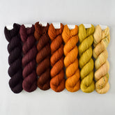 Special Edition 1358 - Miss Babs Yummy 2-Ply Fade Set