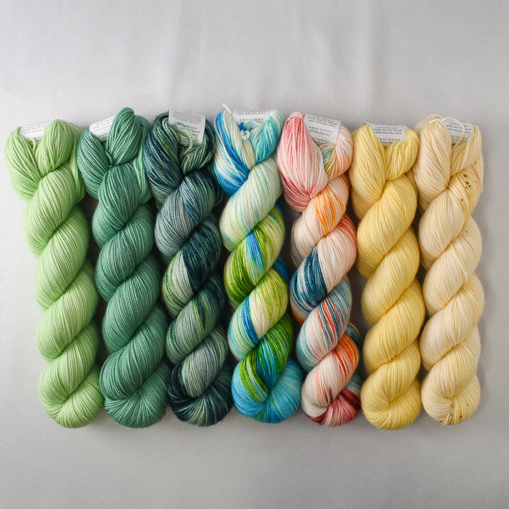 Special Edition 1402 - Miss Babs Yummy 2-Ply Fade Set