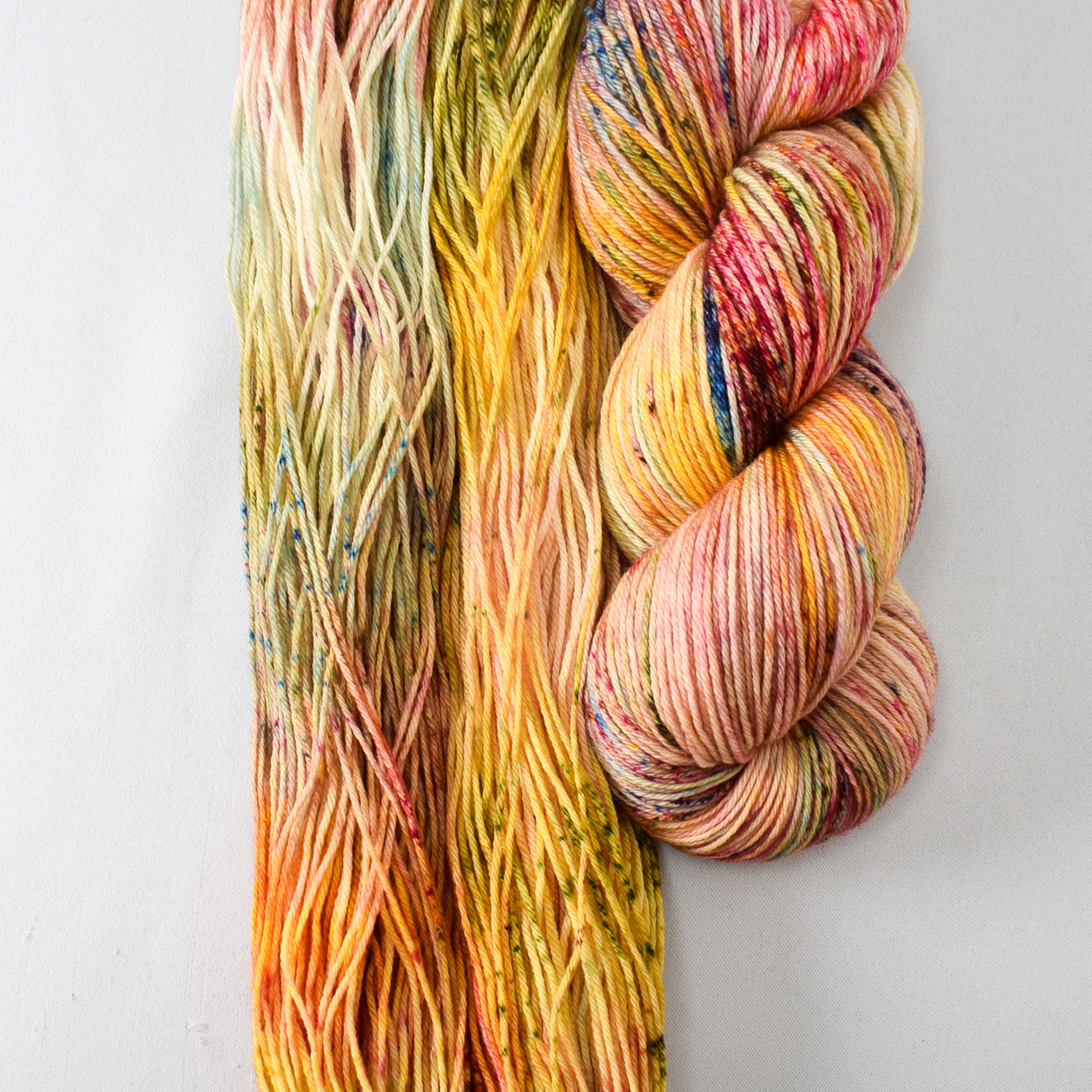 Spring Flowers - Miss Babs Yowza yarn