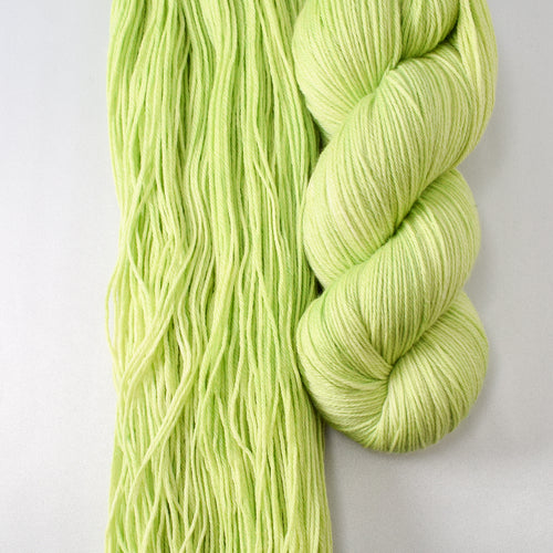 Spring Lettuce - Miss Babs Yowza yarn