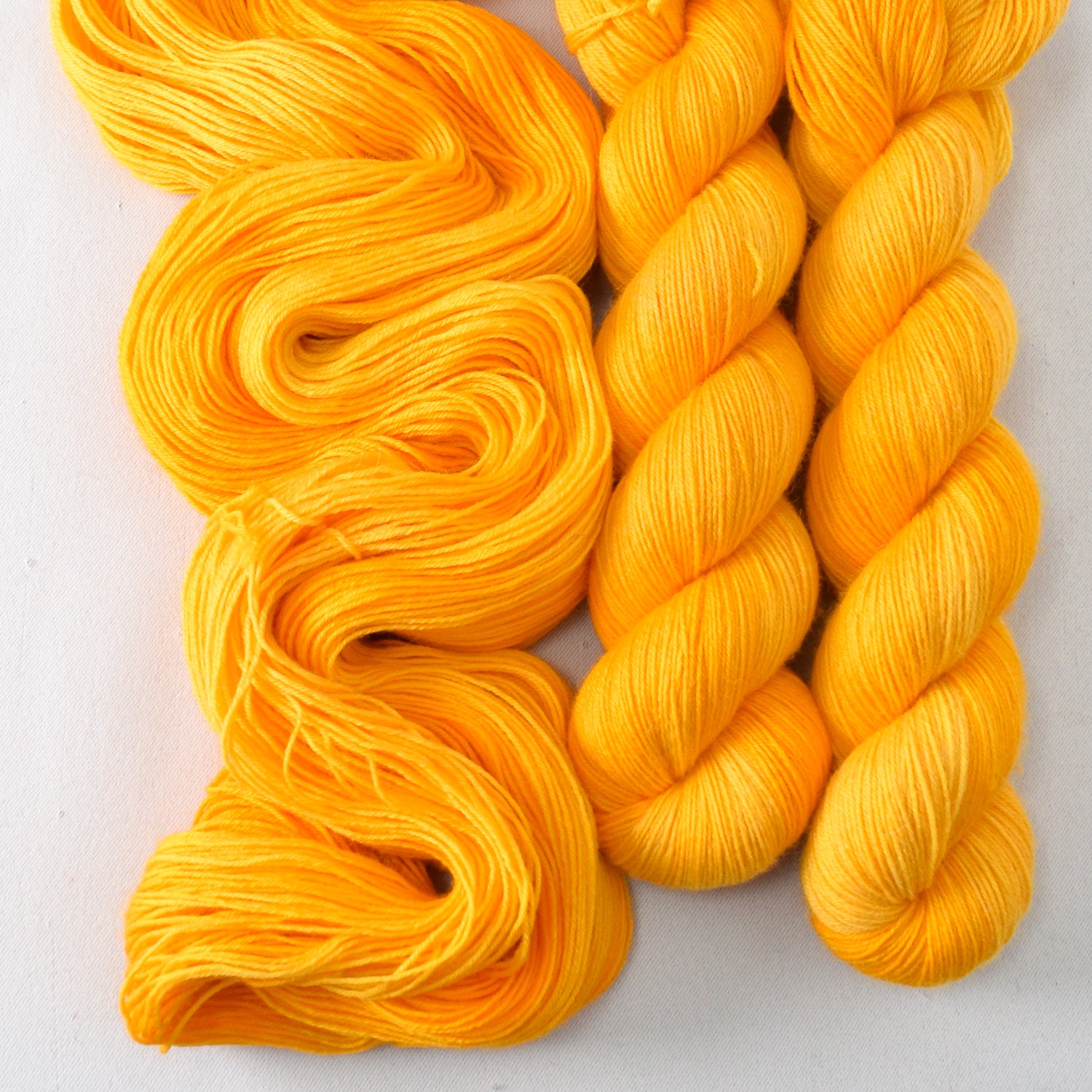 Squash Blossom - Miss Babs Katahdin 437 superwash BFL wool yarn