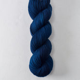 Stevie Ray - Miss Babs Laurel Falls yarn