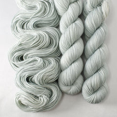 Stippleback - Yummy 2-Ply