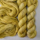 Stroll About - Yummy 2-Ply - Wild Iris