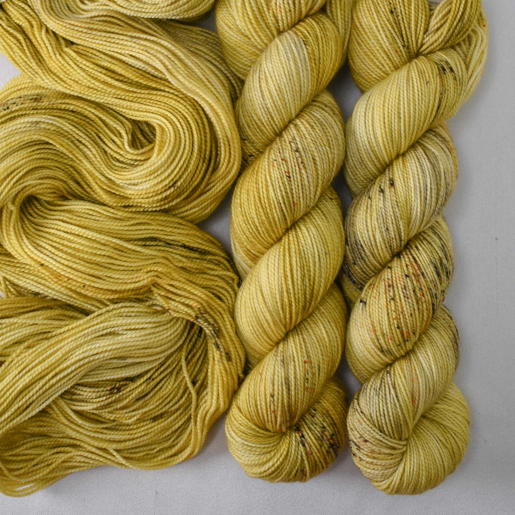 Stroll About - Yummy 2-Ply - Wild Iris