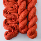 Sugar Maple 2 - Miss Babs Putnam Merino wool and nylon sock yarn