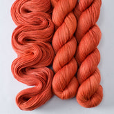 Sugar Maple 2 - Miss Babs Tarte wool blend sock yarn