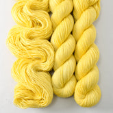 Sun City - Miss Babs Estrellita yarn