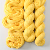 Sunny - Miss Babs Putnam yarn