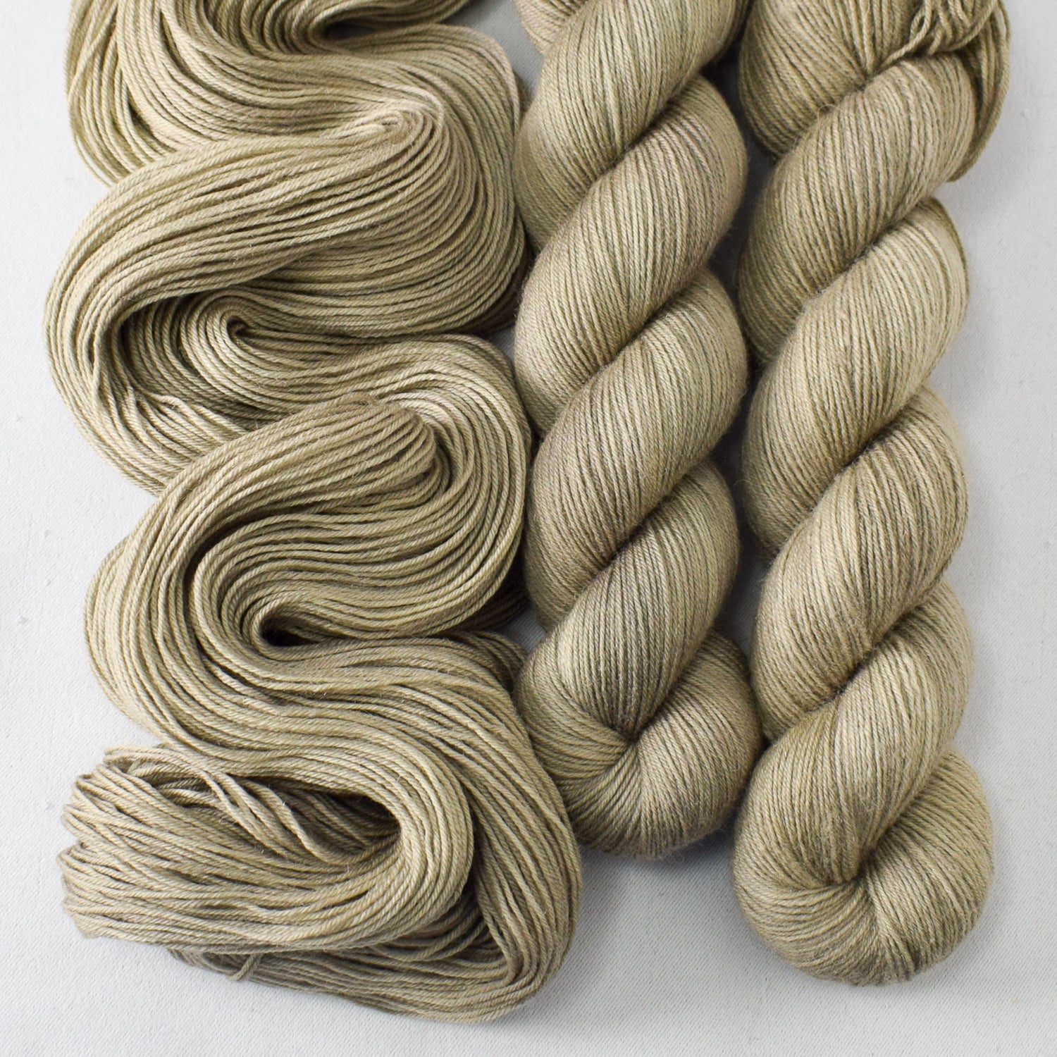 Sycamore - Miss Babs Katahdin 437 superwash BFL wool yarn