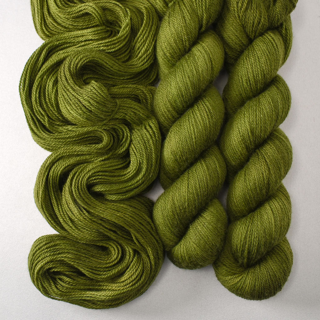 Terrapin Station - Miss Babs Caroline yarn