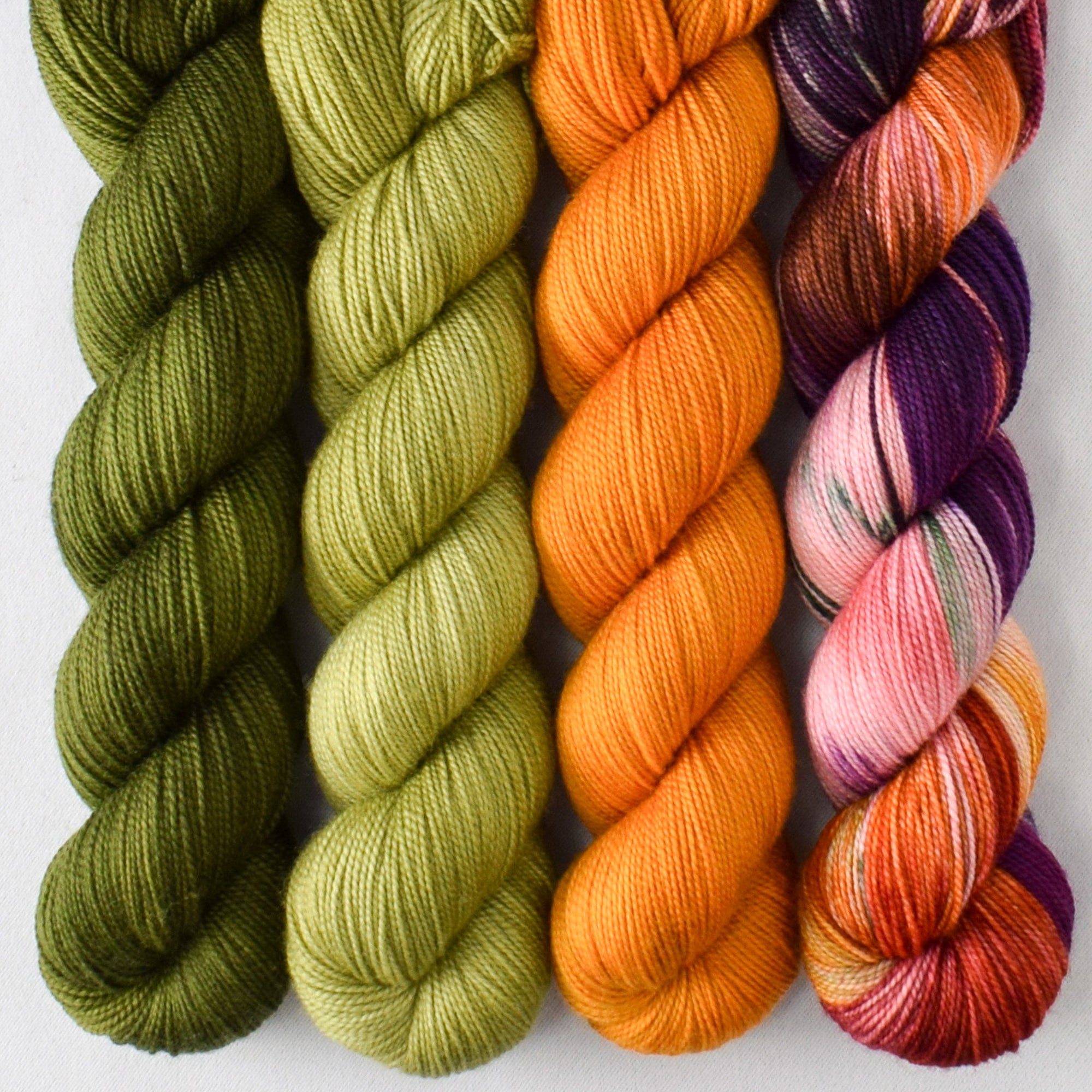 Terrapin Station, Fiddlehead, Cognac Amber, and Charmed - Miss Babs Yummy 2-Ply Quartet