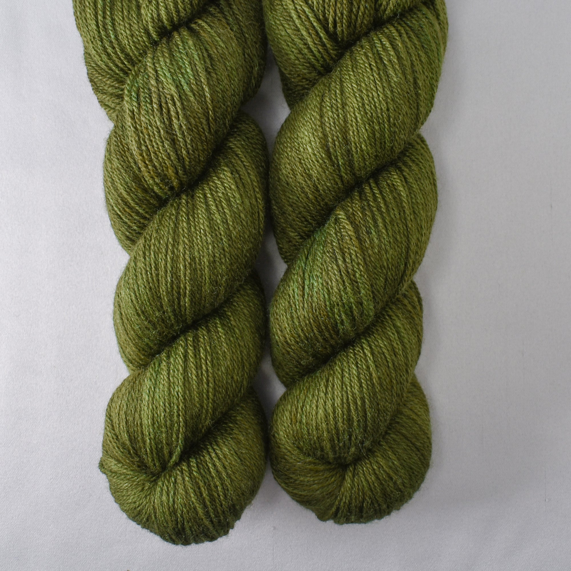 Terrapin Station - Miss Babs Killington 350 yarn