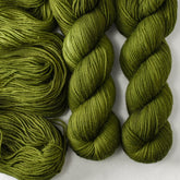 Terrapin Station - Miss Babs Laurel Falls yarn