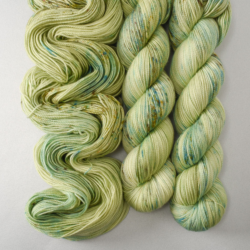 The Whole World - Miss Babs Avon yarn