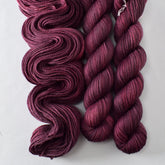 Thrill Ride - Miss Babs Yowza Mini superwash Merino wool yarn